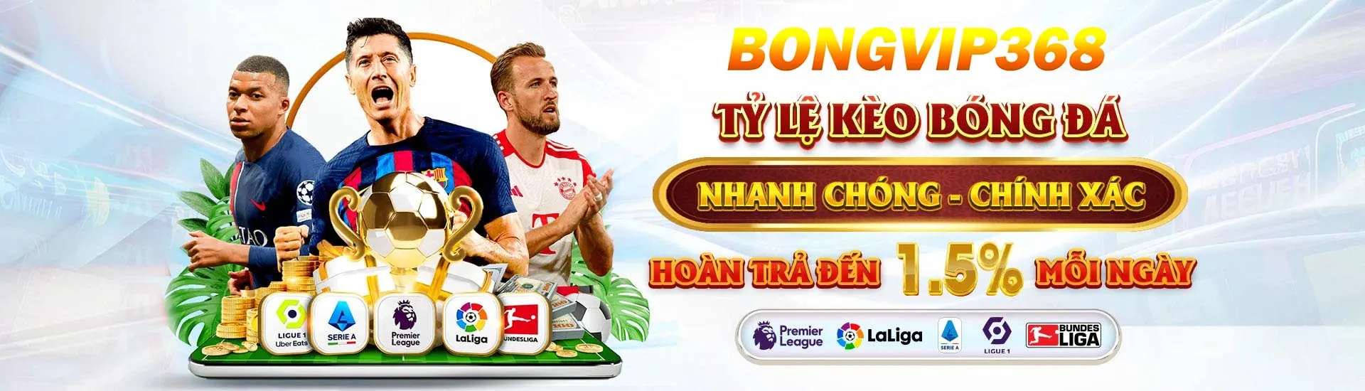 banner bongvip368