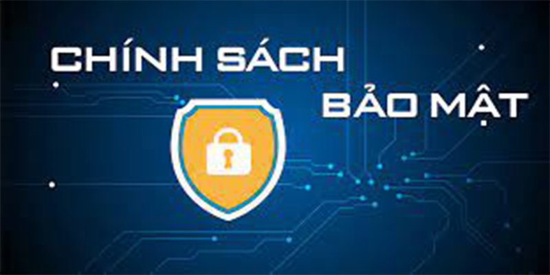 Các yếu tố chính trong Chính sách bảo mật Bongvip368