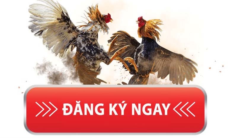 Đăng ký Bongvip368